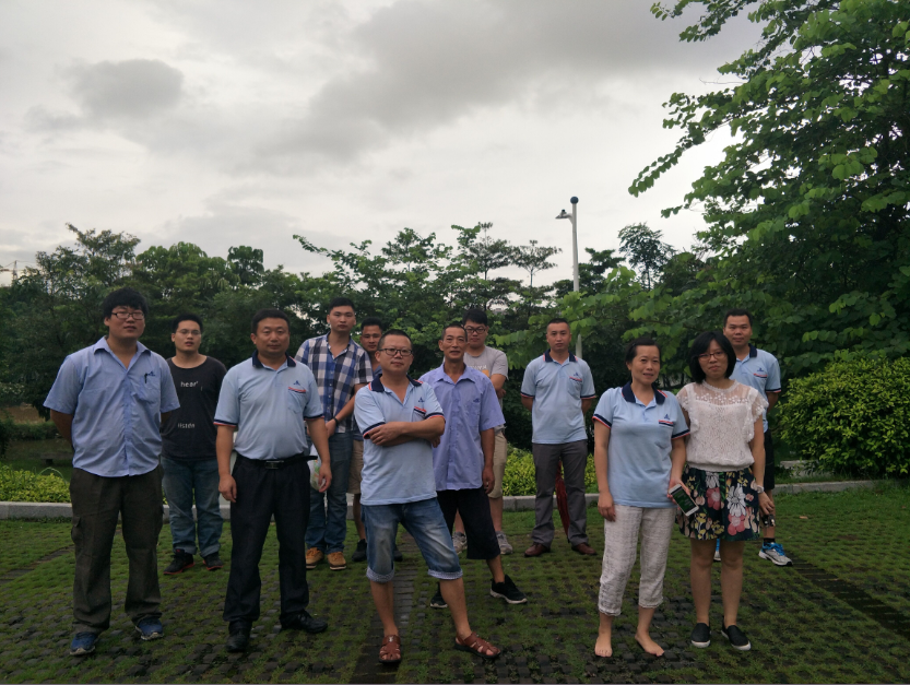激情”樂跑“，相約月荷湖