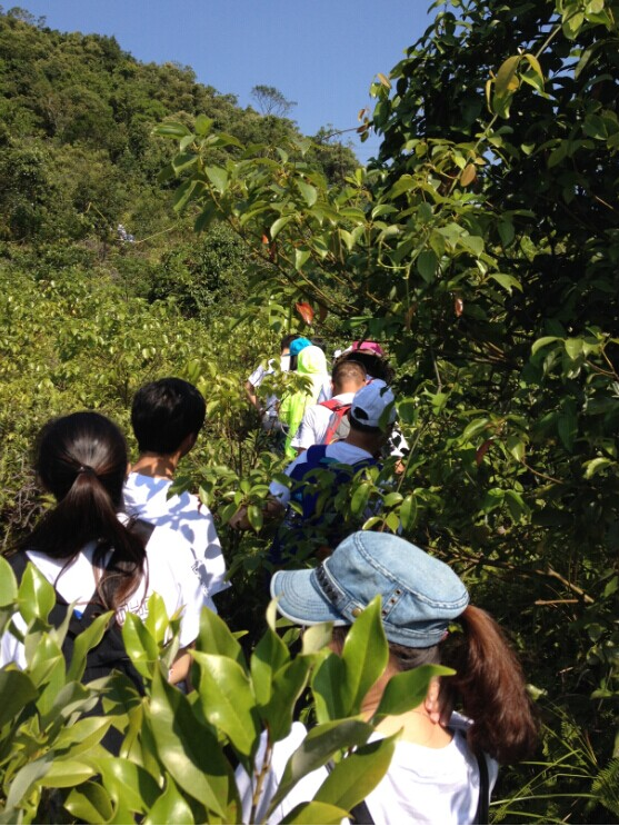 “心港灣、新征途”－招商港灣集團(tuán)馬巒山徒步活動(dòng)-