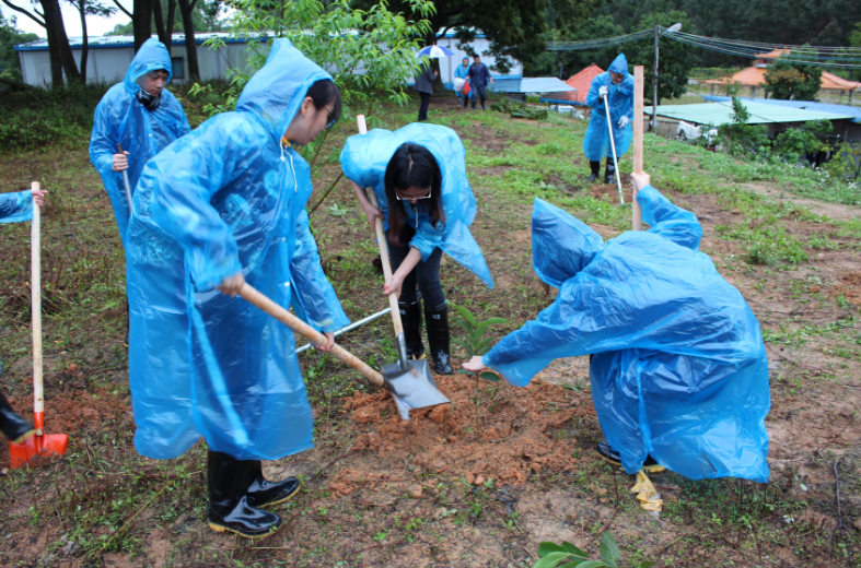 集團組織開展“我與小樹同成長”植樹節(jié)活動-